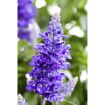 hauptbild