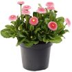 hauptbild