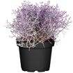 hauptbild