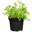 hauptbild
