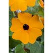 hauptbild
