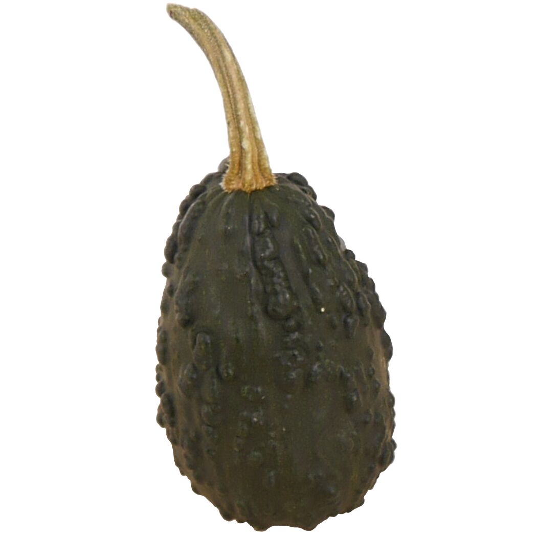 Kleiner Zierkürbis