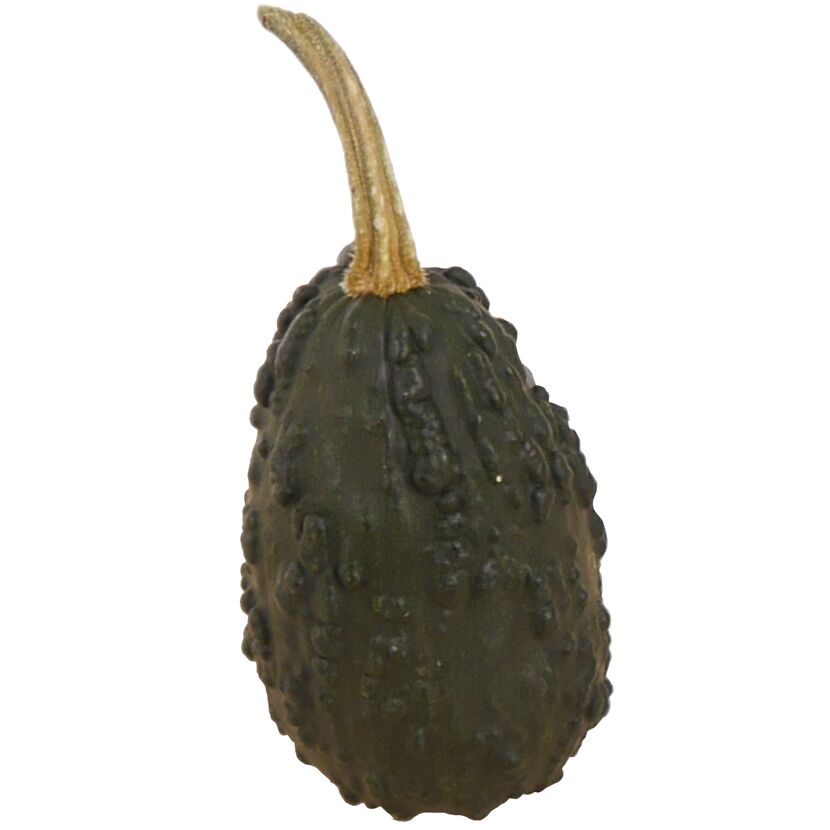 Kleiner Zierkürbis
