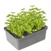 hauptbild
