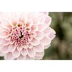 hauptbild
