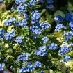 hauptbild