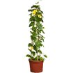 hauptbild