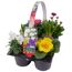 Frühlingsmix mit bunten Blumen