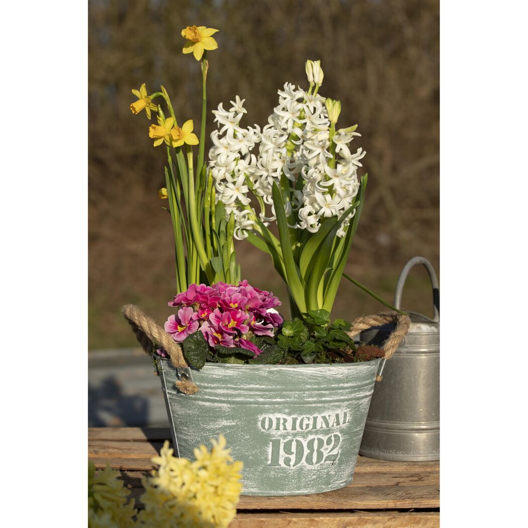 Frühlingsblumen in grauem Topf