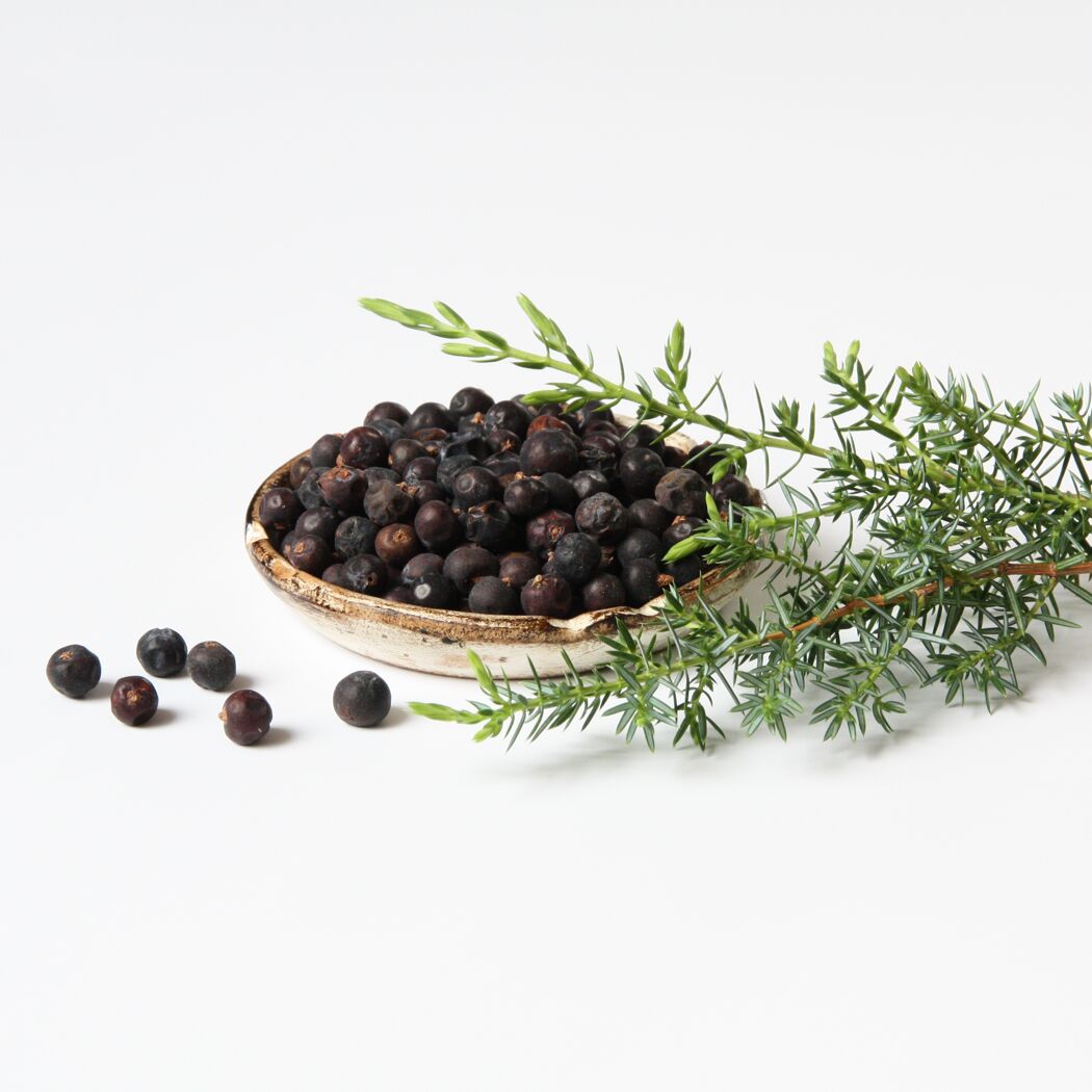 Wacholderbeeren in einer kleinen Schale und Wacholderzweig