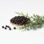 Wacholderbeeren in einer kleinen Schale und Wacholderzweig