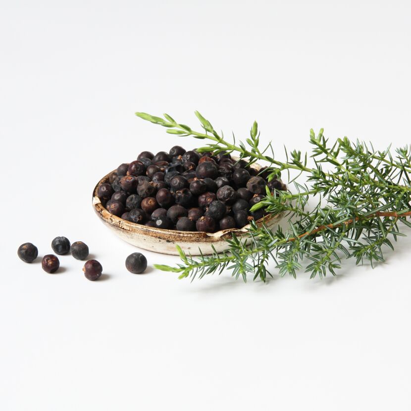 Wacholderbeeren in einer kleinen Schale und Wacholderzweig