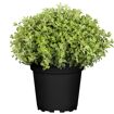 hauptbild