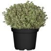 hauptbild