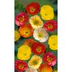 hauptbild