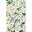 hauptbild
