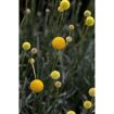 hauptbild