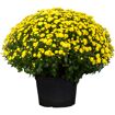 hauptbild