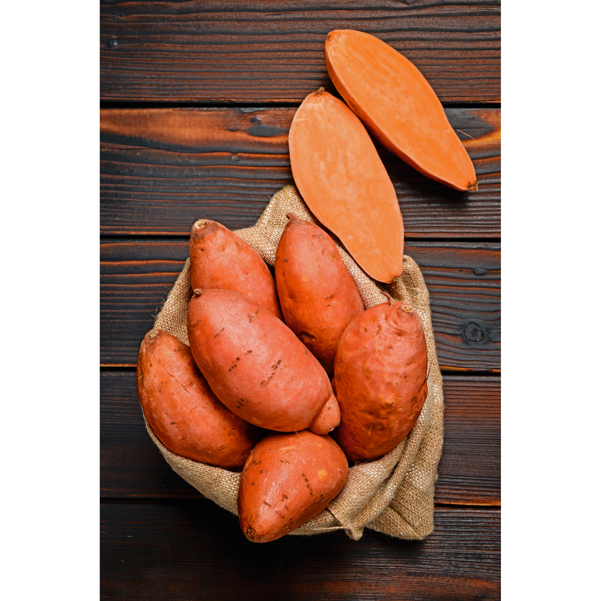 Süßkartoffel 'Sweet Dreams' 13 cm Topf