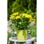 Gelbe Chrysanthemen im Topf auf einem Tisch im Garten