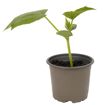 hauptbild