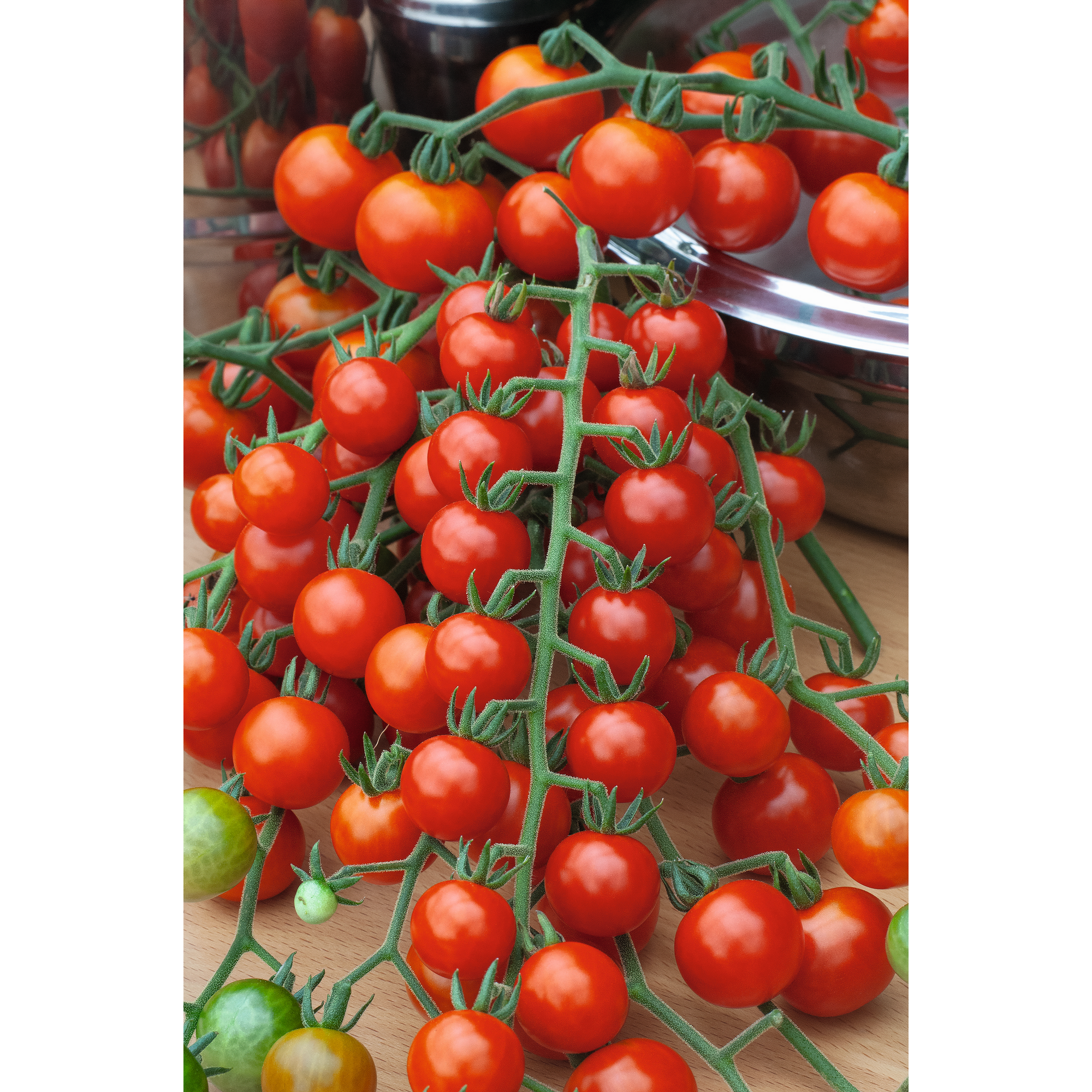 Cherrytomate veredelt 'Plum Mini Red' 12 cm Topf