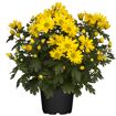 hauptbild
