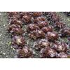 Rote Salatherzen im Beet