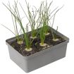 hauptbild
