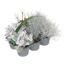 Silbermix 6er-Tray