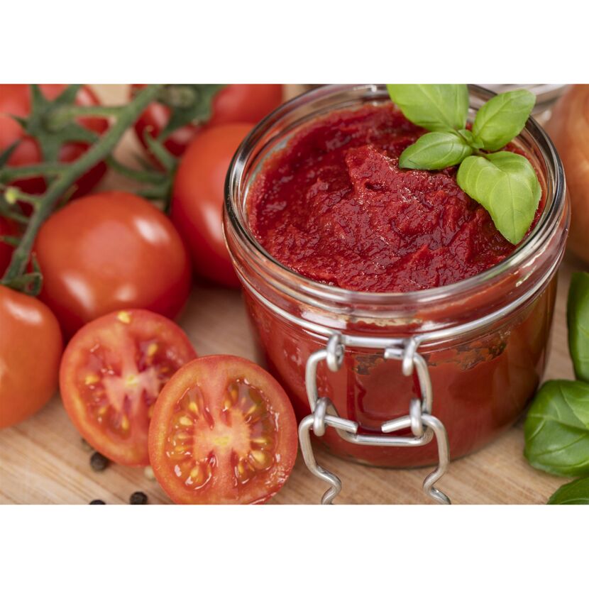 Freiland-Tomate 'Phantasia' & 'Philovita' 11 cm Topf, 3er-Set