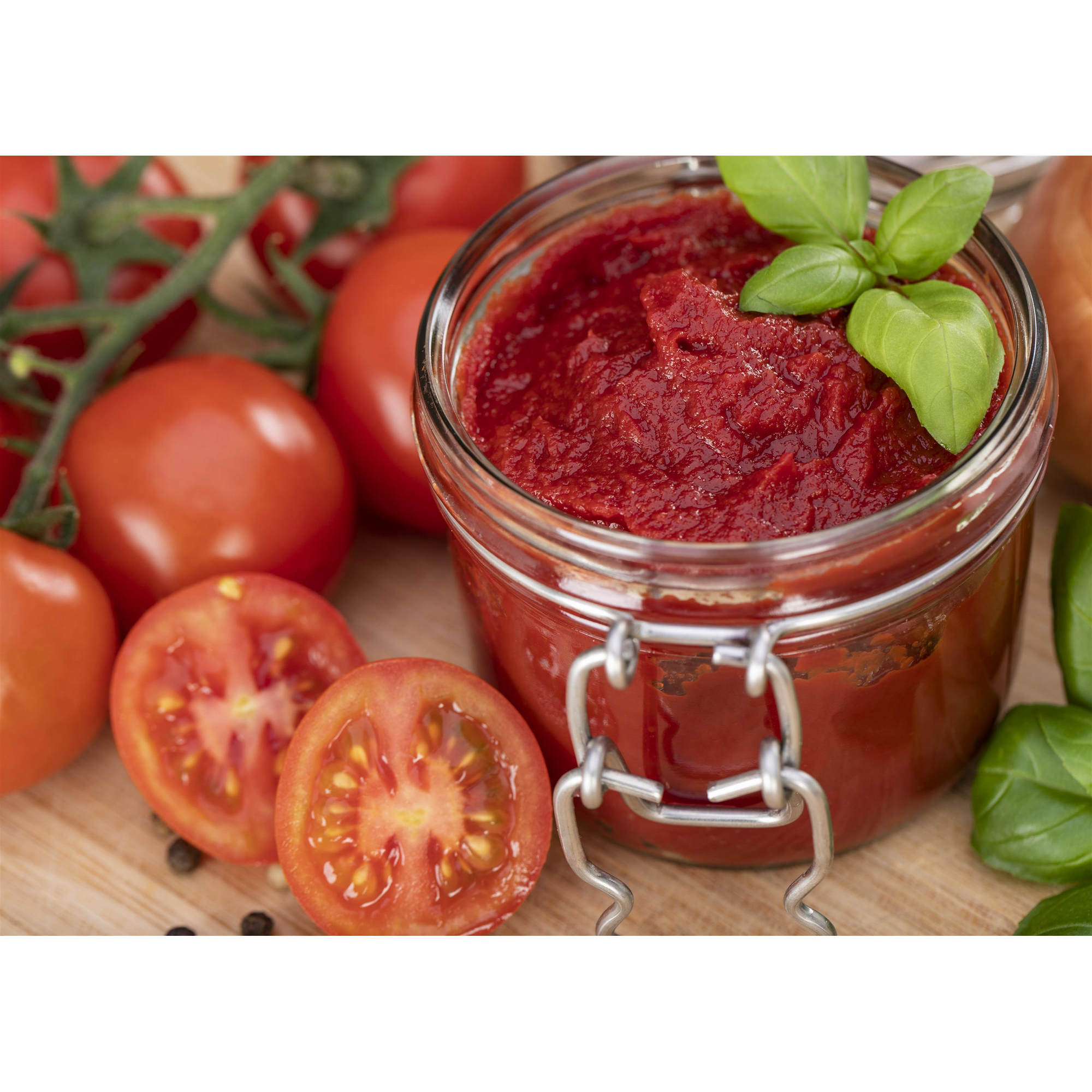 Naturtalent by toom® Bio-Tomate veredelt 13 cm Topf, 3er-Set + product picture