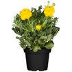 hauptbild