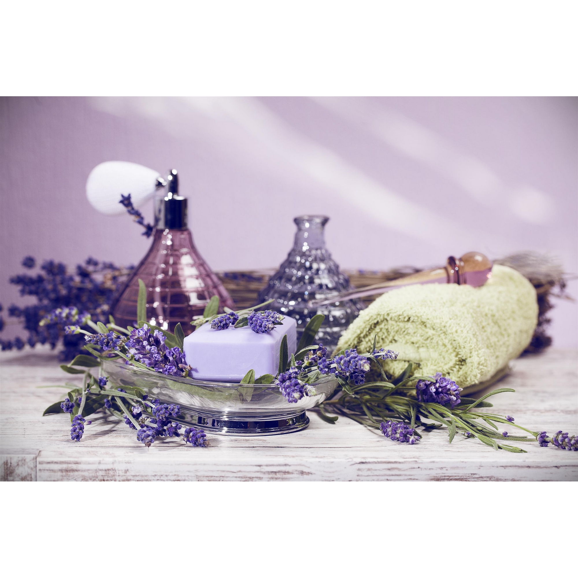 Lavendel Ministamm 14 cm Topf + product picture