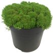 hauptbild