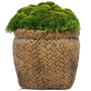 Neuseeländer Knäuel Match & Moss 'Forest Green' 13 cm Keramiktopf