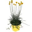 hauptbild
