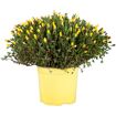 hauptbild