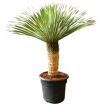 hauptbild