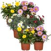 hauptbild