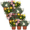 hauptbild