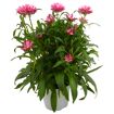 hauptbild