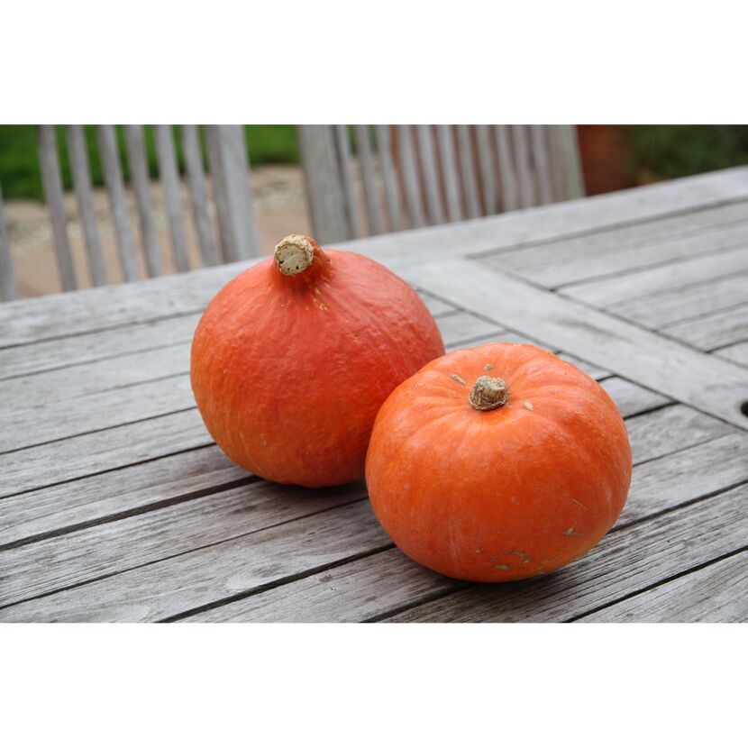 Zwei orangefarbene Kürbisse auf einem Holztisch