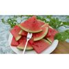 Teller mit Wassermelonenstücken und Gabel