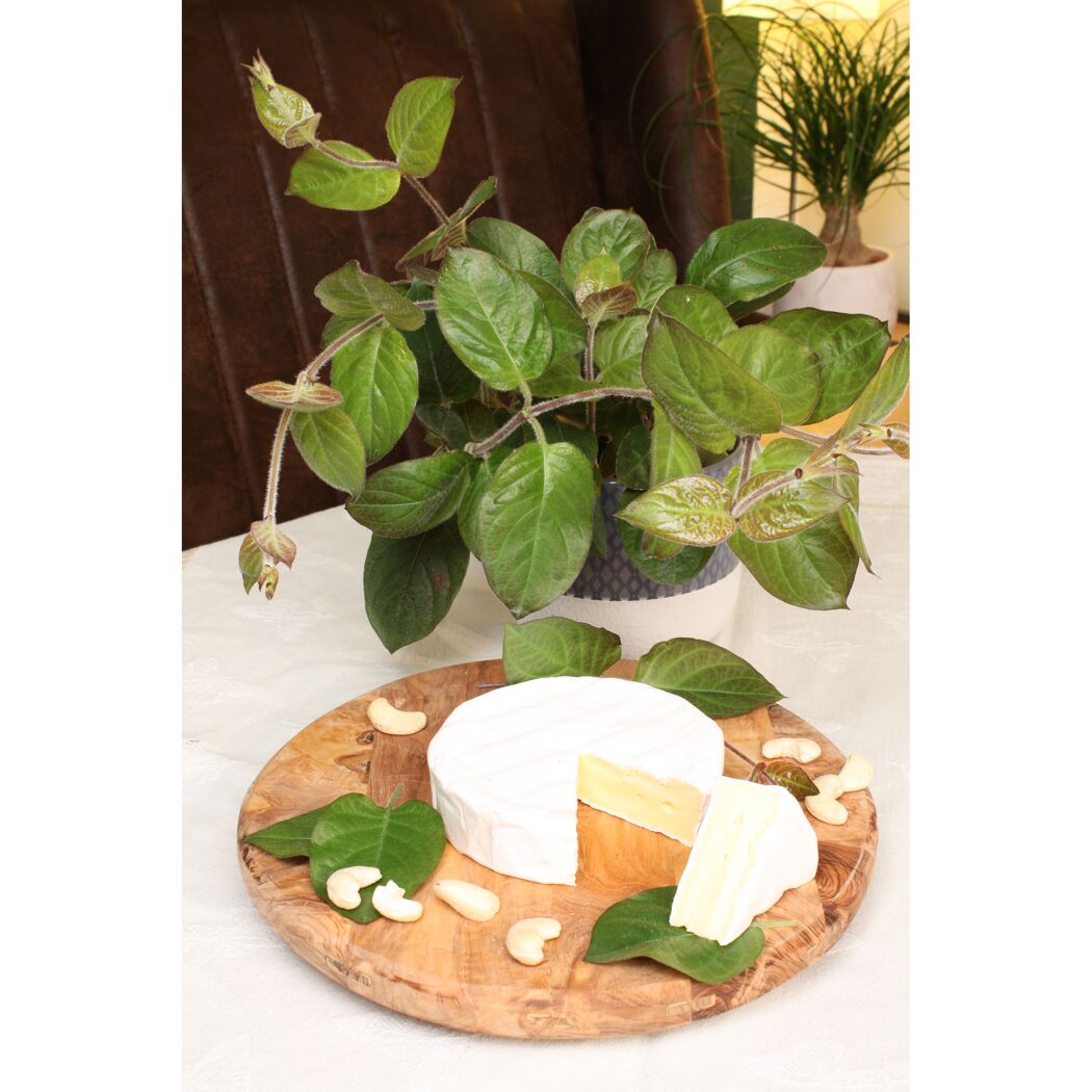 Camembert auf einem Holzbrett