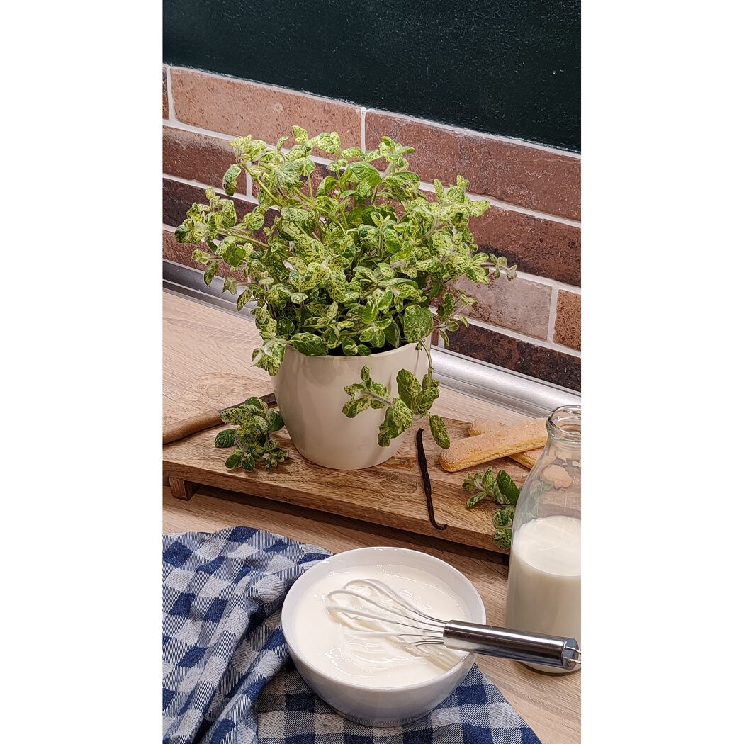 Schüssel mit Sahne und Schneebesen