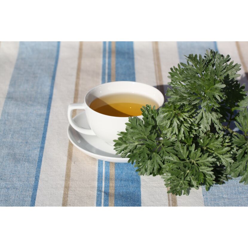 Tasse Kräutertee mit frischem Wermut