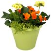 hauptbild