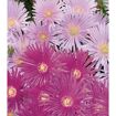 hauptbild