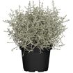 hauptbild